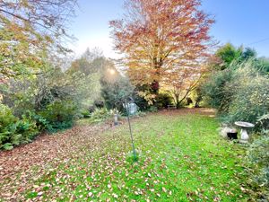 Photo 42- click for photo gallery